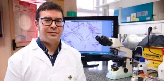 Medicamento cøntra la leucemïa infantil podría usarse en inmunøterapia para activar el sistema inmune (+ Detalles)