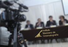 Paro laboral en el Instituto Mexicano de Cinematografía: Trabajadores por honorarios denüncian falta de contratos y pagos