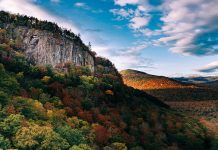 Geólogos neozelandeses descubren restos de un mundo perdido de hace más de un millón de años