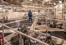 Reinicio energético en Japón: Operadora de Fukushima distribuye electricidad tras 14 años sin actividad