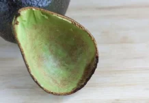 Quien guarda cáscaras de palta en casa conserva un verdadero tesoro natural y casi nadie lo sabe: Descubre la razón