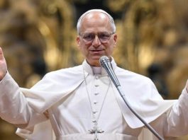 Vaticano propone el modelo «Una Salud» para garantizar la sanidad como derecho universal