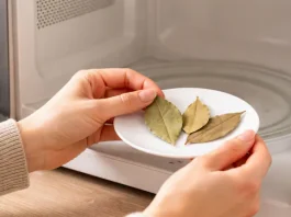 Hojitas de laurel dentro del microondas: truco simple y natural que gana popularidad en la cocina por sus efectos prácticos