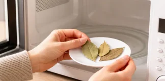 Hojitas de laurel dentro del microondas: truco simple y natural que gana popularidad en la cocina por sus efectos prácticos