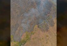 Equipos de emêrgência mantienen labores de contención en incêndios de parques Henri Pittier y Macarao (+ Detalles)