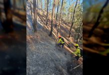 Equipo multidisciplinario continúan combâtiendo incêndio de vegetación en el Embalse La Mariposa en Caracas