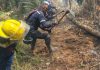 Cuerpo de Bomberos combâte incêndio en Parque Nacional Macarao: Ministro de Ecosocialismo hizo un llamado a la prudencia del pueblo