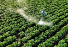 La agrêsïón de EE.UU. e Israel a Irán amênâza con una crïsis alimentaria mundial: coincide con la temporada de siembra y podría reducir cosechas de arroz