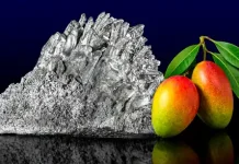 De hojas de mango a metal futurista: el sorprendente invento que mezcla naturaleza y ciencia para revolucionar la industria