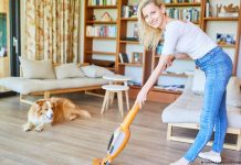 Los perros también moldean el aire que respiramos en casa, según un estudio: «Son transportadores móviles»