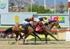 Farolera sorprende en un cerrado final y logra vencer a la invicta Princess Warrior en el Clásico Ana María Freudman en La Rinconada
