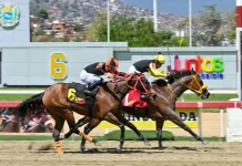 Farolera sorprende en un cerrado final y logra vencer a la invicta Princess Warrior en el Clásico Ana María Freudman en La Rinconada