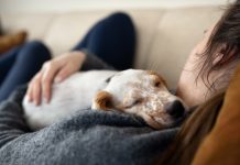 Más de la mitad de la población prefiere estar con su mascota cuando están estresados que con su pareja, familia o amigos, según estudios