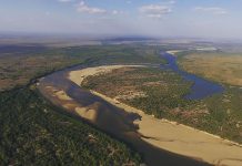 Entre médanos y ríos: Descubre los planes y rutas mágicas del Parque Nacional Santos Luzardo (+ Fotos y Video)