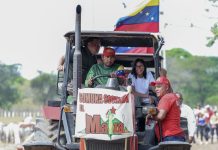 Delcy Rodríguez lidera despliegue en la Comuna «El Maizal» para fortalecer la Soberanía Alimentaria (+ Detalles)