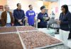 Presidenta Encargada instruye identificar y consolidar mercados para exportación de cacao y el chocolate