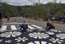 SAVES transforma la vialidad de Mochima con innovador paso peatonal artístico (+ Fotos)