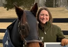 El caballo más viejo del mundo es una yegua: Ha certificado su récord con 37 años y 329 días (+ Detalles)