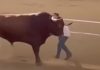 Mujer irrümpe en plena corrida para abrazar a un toro y esta fue la reacción del animal (+ Video)