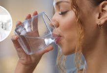 Fisiólogo advierte que no beber suficiente agua puede hacer que actividades cotidianas como trabajar o caminar se sientan más agotadoras