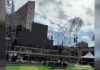 La emoción de Venezuela y la pasión del béisbol se juntan en la Plaza de La Juventud de Parque Central (+ Detalles)