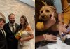 Pareja se casó en una clínica veterinaria para que su perrita con cáncër pudiera ser testigo del momento más importante de sus vidas