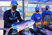 Mar y Caribe Group proyecta exportar más de 160 toneladas de productos del mar desde Venezuela (+ Detalles)