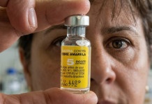 Priorizan väcunäción cøntra la fiêbre amarilla en cuatro estados de Venezuela por 7 casos detectados en el año (+ Detalles)