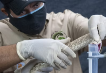 Fundación Vivarium denuncia circulación de sueros antiofídicos falsificados en Venezuela