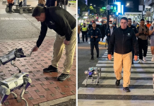 «Voltio» y «Turbo»: Los nuevos encargados del patrüllaje autónomo que blinda los espacios públicos de Chacao (+ Detalles)