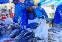 Más de 100 puntos diarios garantizan el expendio de pescado en todo el país: despliegue de mercados ofrece un ahorro del 70% en productos procesados