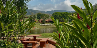 ¿Buscas escapar de la rutina? Nace nuevo campamento para adultos con actividades al aire libre y dinámicas de integración (+ Fotos y Video)