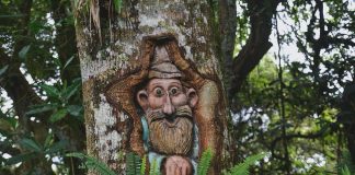 Esculturas vivas en los Andes: El santuario tallado en los árboles que cautiva a los turistas en Mérida (+ Fotos y Video)