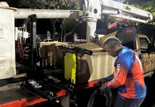 Instaladas 80 lámparas LED en la avenida Paseo Cabriales para fortalecer la iluminación pública en Valencia (+ Fotos)