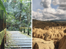 De las nubes de Yacambú al «pequeño Gran Cäñón»: El fascinante contraste natural del estado Lara (+ Detalles)
