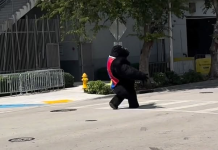 Un carismático gorila con el tricolor de Venezuela enamora a las personas a las fueras del LoanDepot Park (+ Detalles)