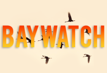 Venice Beach revive la nostalgia: Primeras imágenes del rodaje del remake de «Baywatch» (+ Fotos)