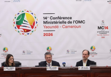 Consenso parcial en la OMC: 66 países firman el primer acuerdo histórico sobre comercio electrónico