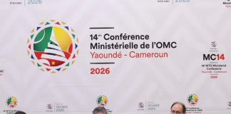 Consenso parcial en la OMC: 66 países firman el primer acuerdo histórico sobre comercio electrónico