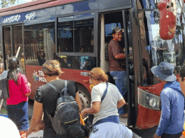 TransMonagas fortalece rutas sociales para optimizar la movilidad en el Estado: un servicio de transporte cómodo, seguro y de calidad (+ Fotos)