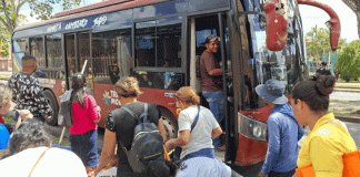 TransMonagas fortalece rutas sociales para optimizar la movilidad en el Estado: un servicio de transporte cómodo, seguro y de calidad (+ Fotos)