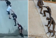 Dedican estatua a jóvenes que se unieron en cadena para rescatar a un perro de un río hace 10 años (+ Video)