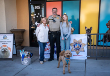 JetBlue, el perrito que fue abändonado en el aeropuerto de Nevada ya encontró una nueva familia (+ Detalles)