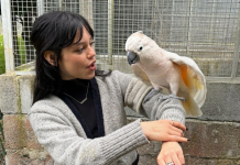 El hobbie escondido de Jenna Ortega que se reveló durante las grabaciones de la serie «Wednesday» (+ Detalles)