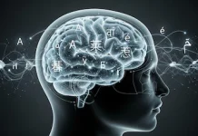 El cerebro puede anticipar palabras y completar frases antes de que se escuchen completamente