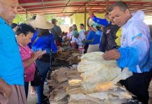 10 mil familias de Sotillo en Monagas fueron beneficiadas con proteína pesquera: La tradición del Cuajao llegó a los hogares monaguenses (+ Fotos)