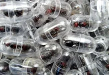 Dętienen a hombre en el aeropuerto de Kenia por intentar sacar más de 2.000 hormigas reina protegidas del país