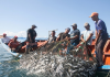 Pescadores en la Bahía de Pampatar celebran los primeros grandes calados de la temporada de sardinas (+ Detalles)