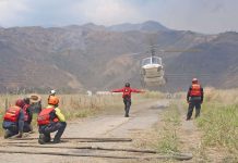Plan de Rescąte de Fauna Silvestre fue activado en el parque Henri Pittier para asistir a las especies vulnêrables afêctadas por los incêndios (+ Detalles)