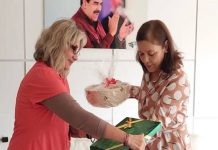 Venezuela y Brasil refuerzan acuerdos estratégicos en materia de salud pública: fortalecieron la cooperación bilateral en materia sanitaria